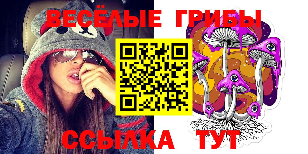 где продают   Псилоцибиновые грибы MAGIC MUSHROOMS  Лысьва  Вход с VPN  Галлюциногенные грибы Psilocybine cubensis 